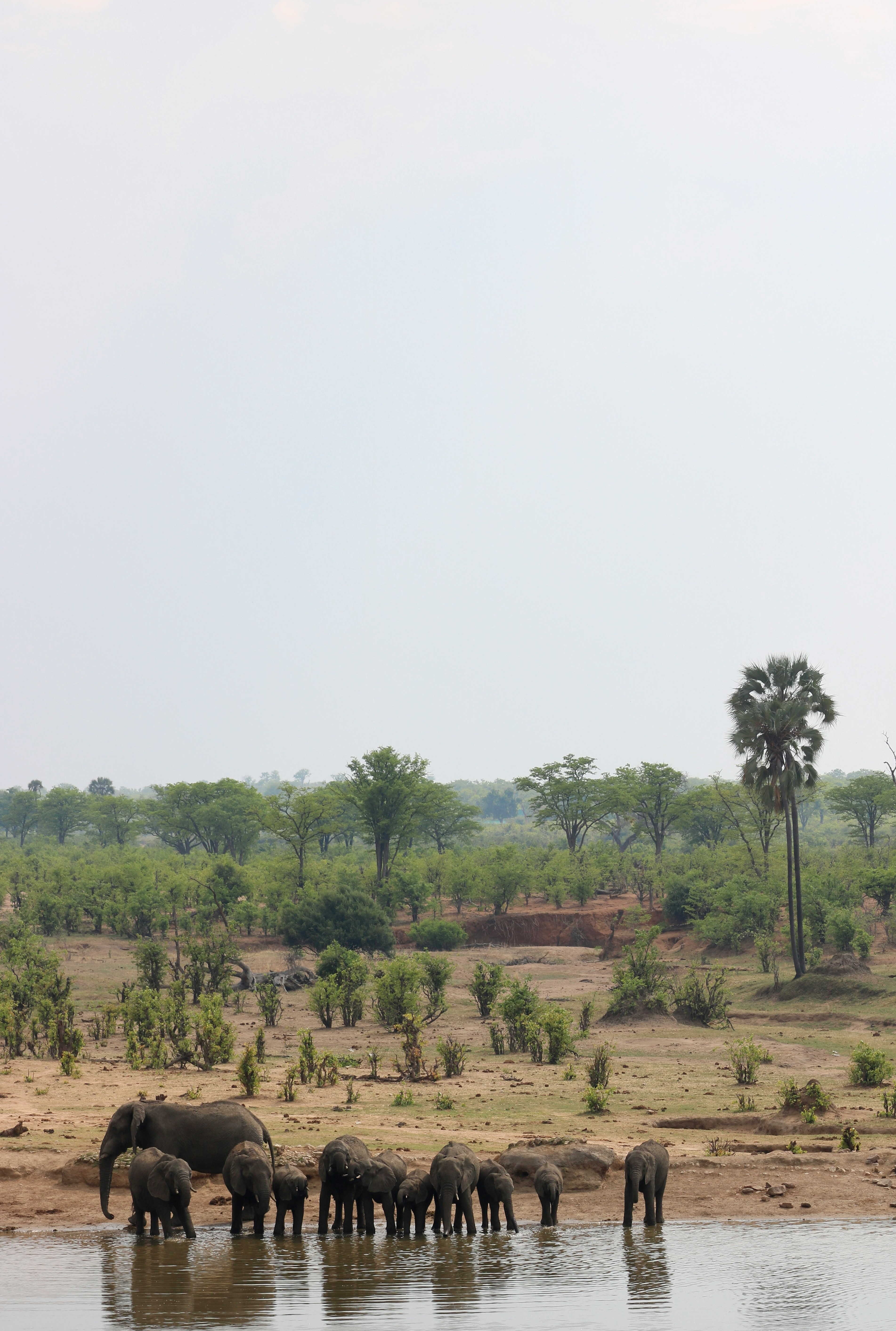 Chobe National Park