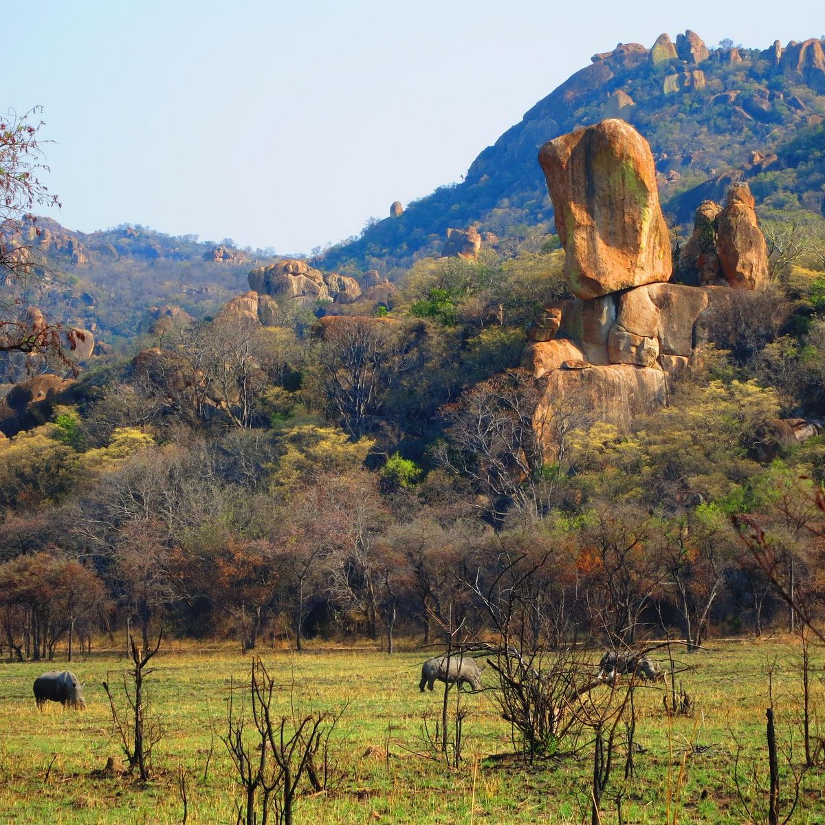 Matobo