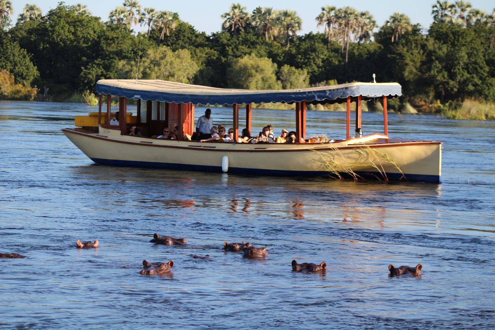 Zambezi Sunset Cruise